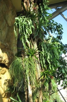 IMG_1794.jpg