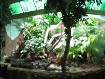 IMG_1806.jpg