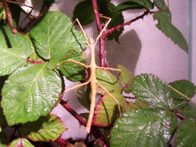 100_4593.JPG