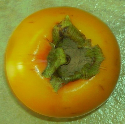PICT0552.JPG
