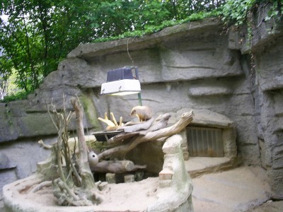 k-S4026648.JPG