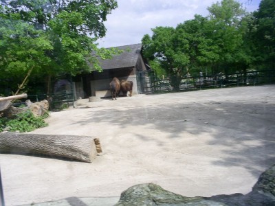 k-S4026630.JPG