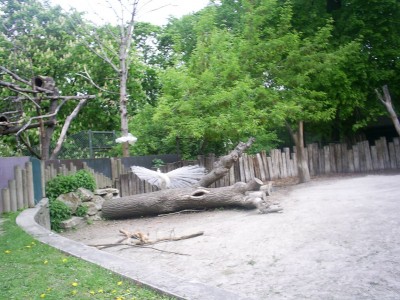 k-S4026717.JPG
