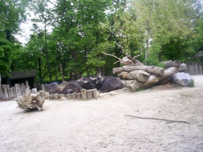 k-S4026715.JPG
