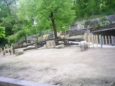 k-S4026709.JPG