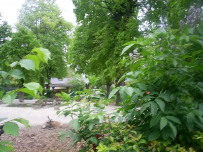 k-S4026696.JPG
