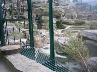 k-S4026695.JPG