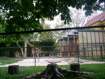 k-S4026739.JPG