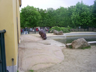 k-S4026737.JPG
