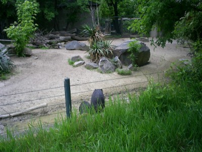 k-S4026729.JPG