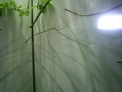 k-S4026720.JPG