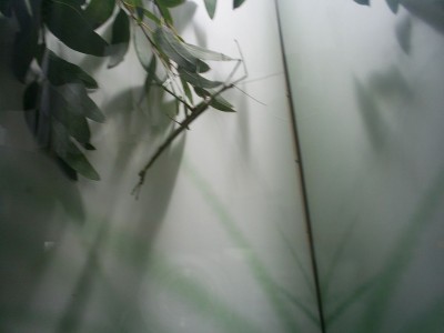 k-S4026719.JPG