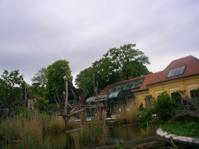 k-S4026760.JPG