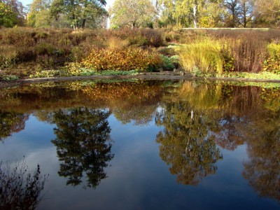 01.11.2008 herbst.jpg