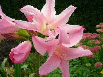 DSCN11680001.JPG
