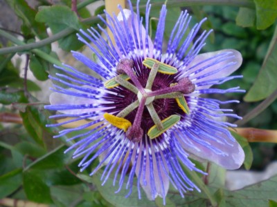 DSCN07540001.JPG