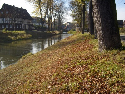 DSCI0034.JPG