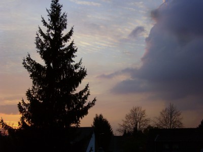 bilderblüten 034.JPG