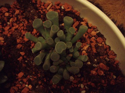 PB051014.JPG