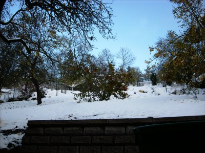 DSCI0016.JPG