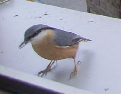 RIMG0016.JPG