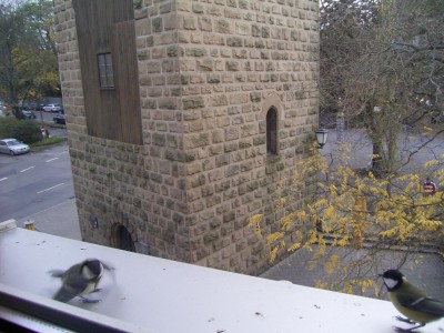 RIMG0010.JPG
