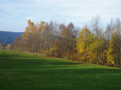 P1010009.JPG