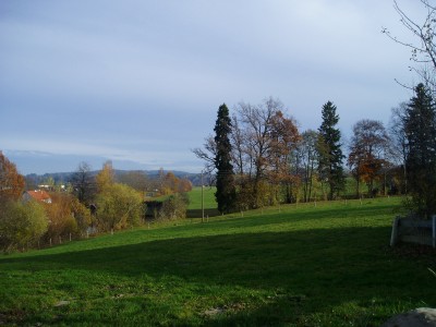 P1010007.JPG