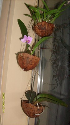 S7300819.JPG