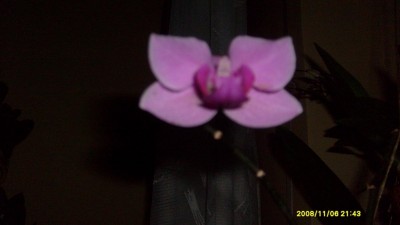 S7300826.JPG