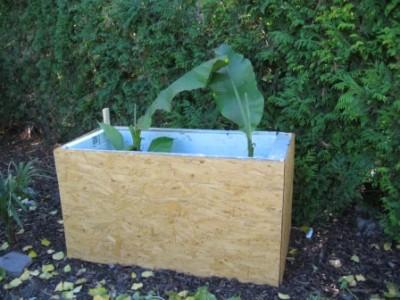 IMG_1849 Winterschutz Itinerans.jpg