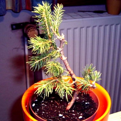 LPIC0006 neu.jpg