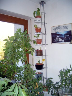 fenster1.jpg