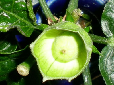 RSCN19050001.JPG