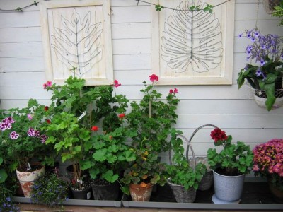 Größenänderung IMG_2639.JPG