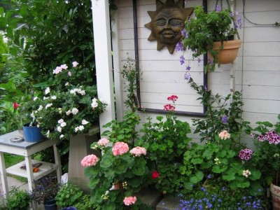 Größenänderung IMG_2640.JPG