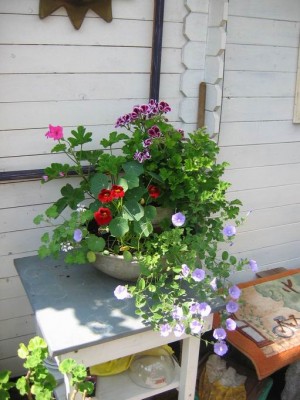 Größenänderung IMG_2187.JPG