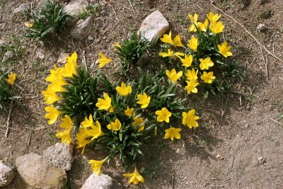 Hierapolis 19 (Medium).jpg