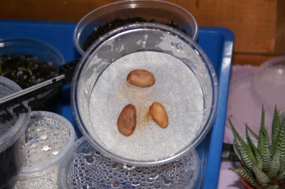 PICT0208~1.JPG
