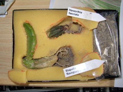 DSCI0014.JPG