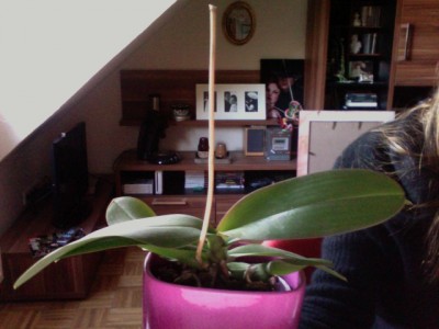 Foto 13.jpg