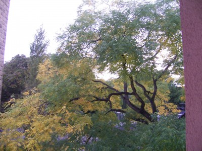 RIMG0004.JPG