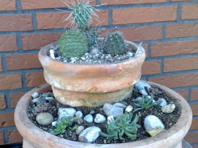 Photo neu 005.jpg
