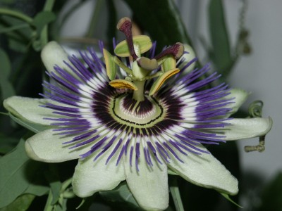 PICT0004.JPG