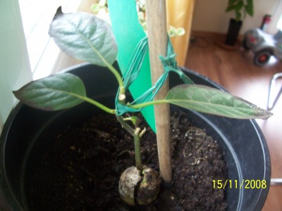 100_4053.JPG