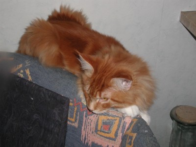 P1010132.JPG