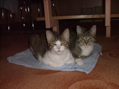 ELI &amp; HANNE.JPG