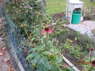 IMG_0450.jpg