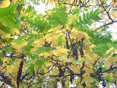 IMG00325m.jpg