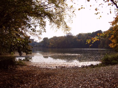 IMG00265m.jpg